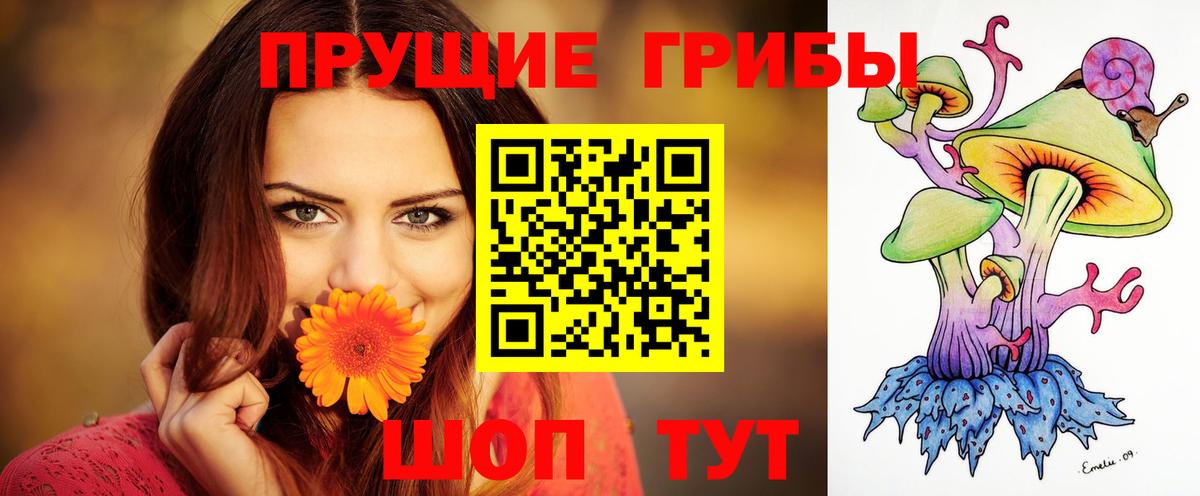 Псилоцибиновые грибы Psilocybe  где купить наркоту  Псилоцибиновые грибы Magic Shrooms  Усолье-Сибирское  Вход с VPN 